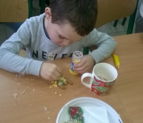 WP_20151222_11_06_08_Pro.jpg