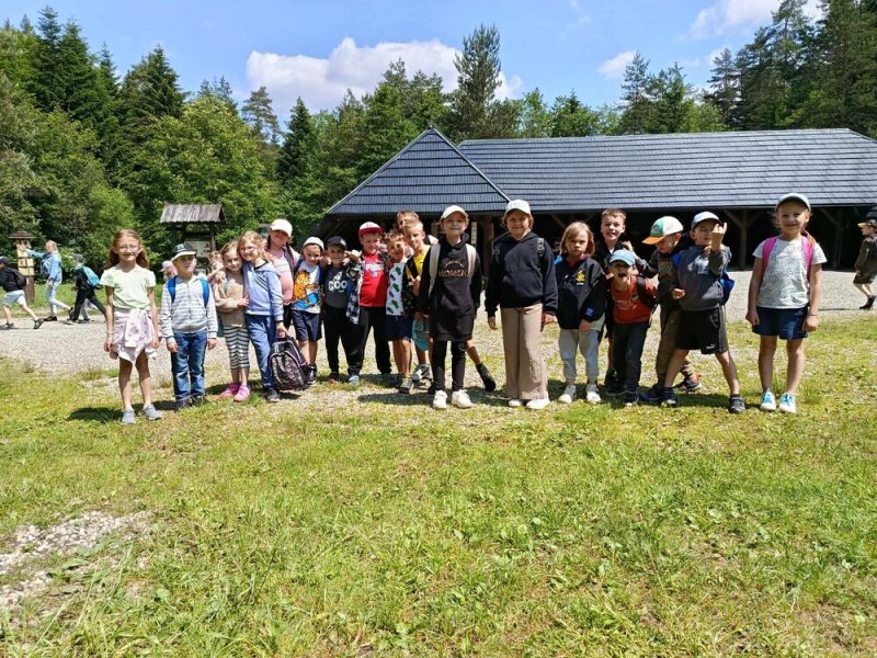 Żywa lekcja przyrody 🌳🌲